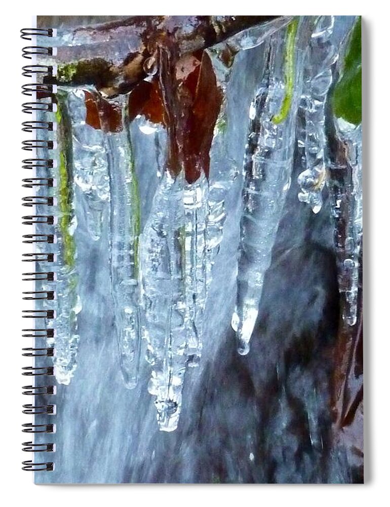 Winter In Oregon Spiral Notebook featuring the photograph Natures Icing by Susan Garren