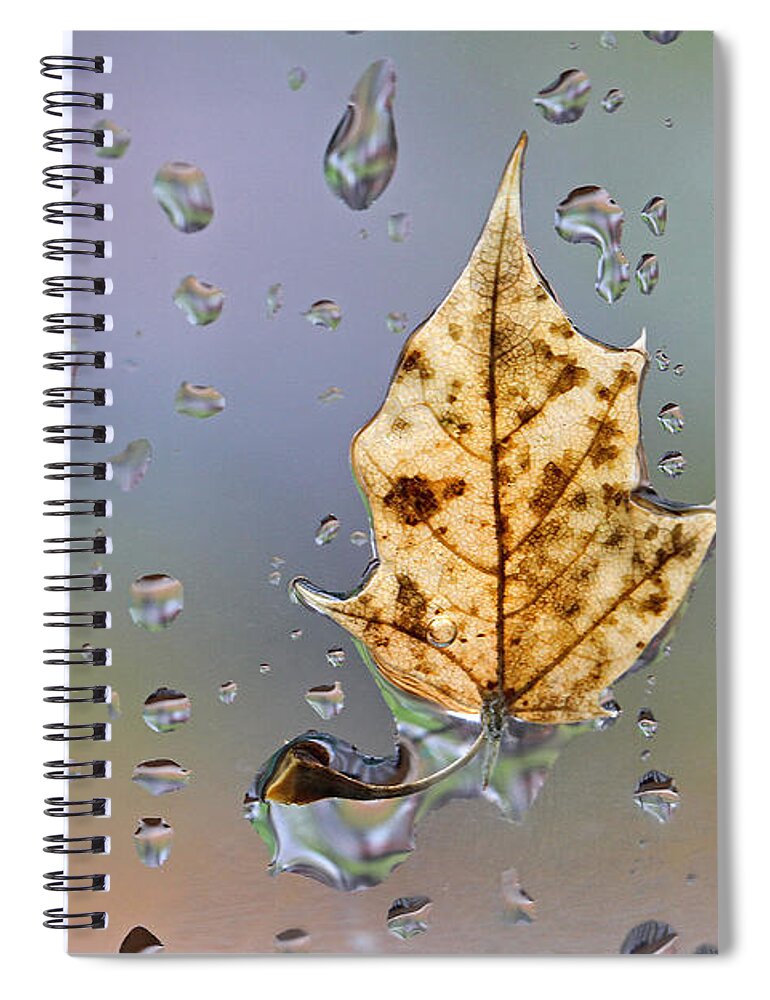 Neon Spiral Notebook featuring the photograph Neon Leaf by Juergen Roth