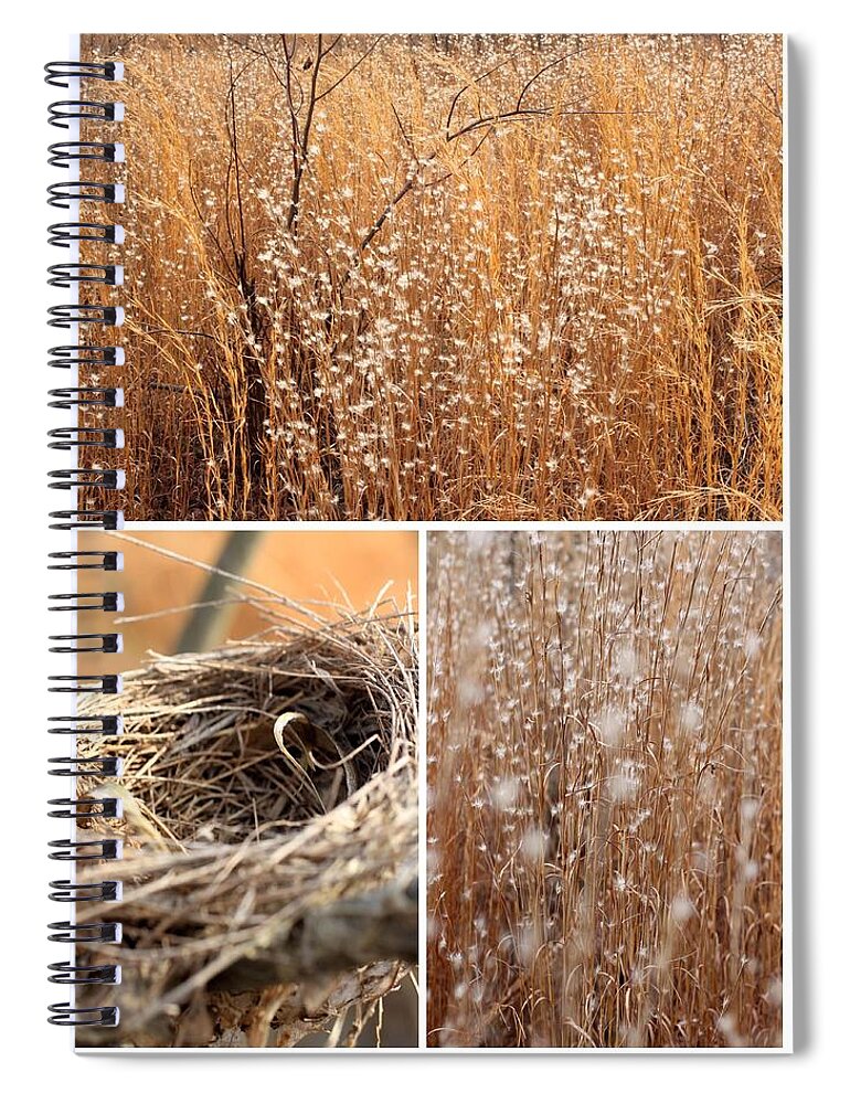 Bird Nest Spiral Notebook featuring the photograph Nest Field by AR Annahita