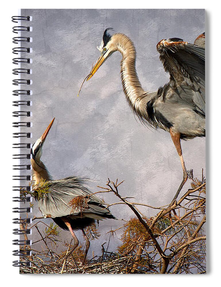 Bird Spiral Notebook featuring the photograph Nesting Time by Debra and Dave Vanderlaan