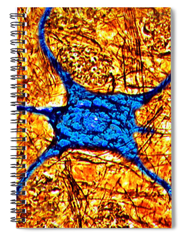Neurones Spiral Notebook featuring the photograph Neuron by James Cavallini
