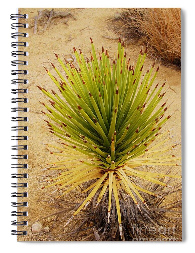 Yucca Brevifolia Spiral Notebook featuring the photograph NeW BeGiNNiNG  by Angela J Wright