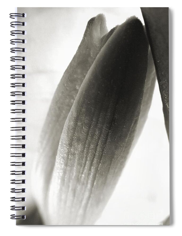 Flower Spiral Notebook featuring the photograph New Beginnings by Robyn King