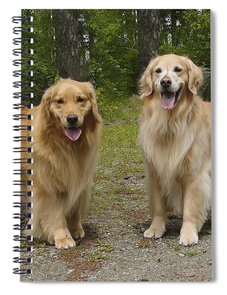 Nature Spiral Notebook featuring the photograph New Buddies by Rhonda McDougall