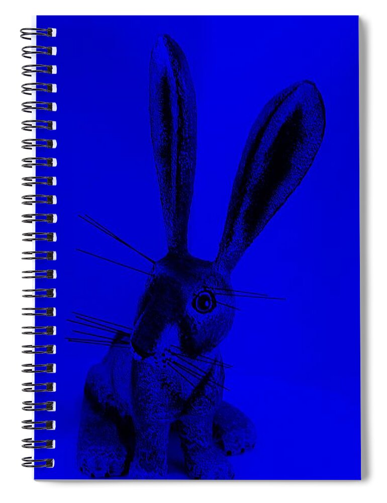 Rabbit Spiral Notebook featuring the photograph New Mexico Rabbit Blue by Rob Hans