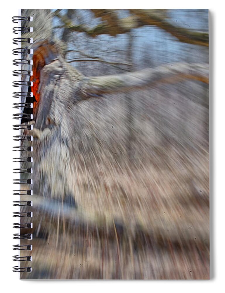 Grant Woods Spiral Notebook featuring the photograph No Escape by Jim Shackett