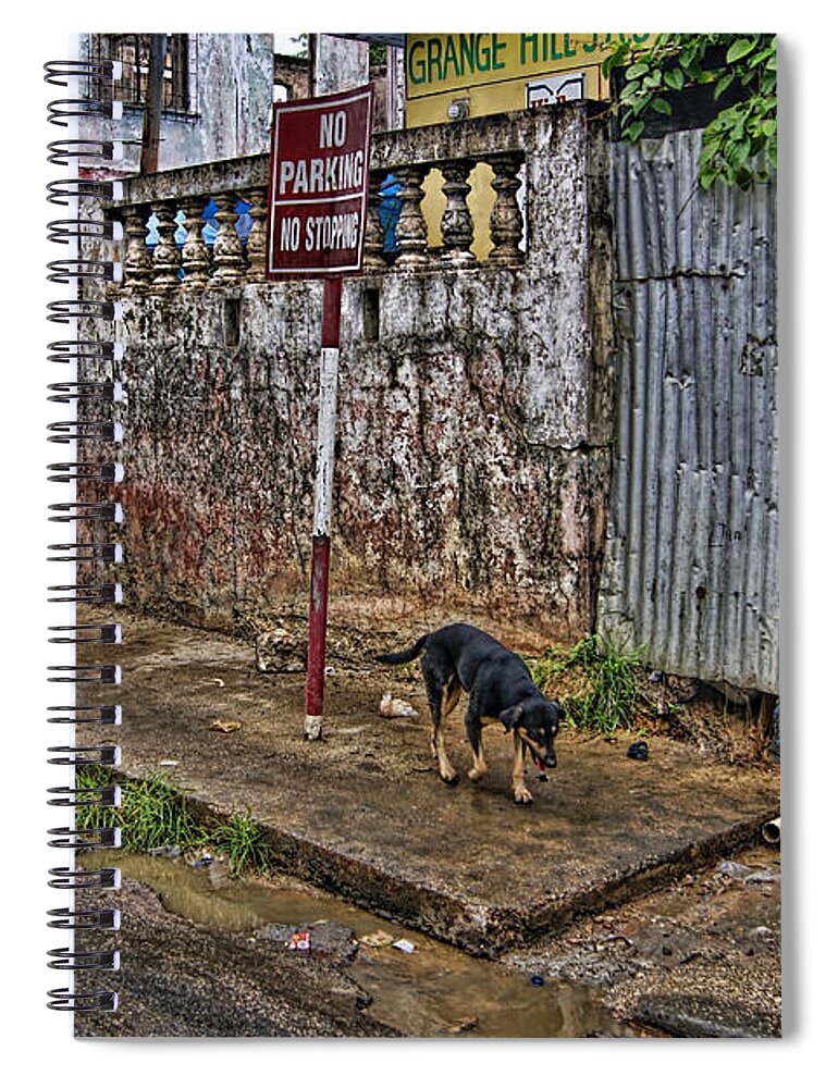 Street Photography Spiral Notebook featuring the photograph No Parking No Stopping by Olga Hamilton