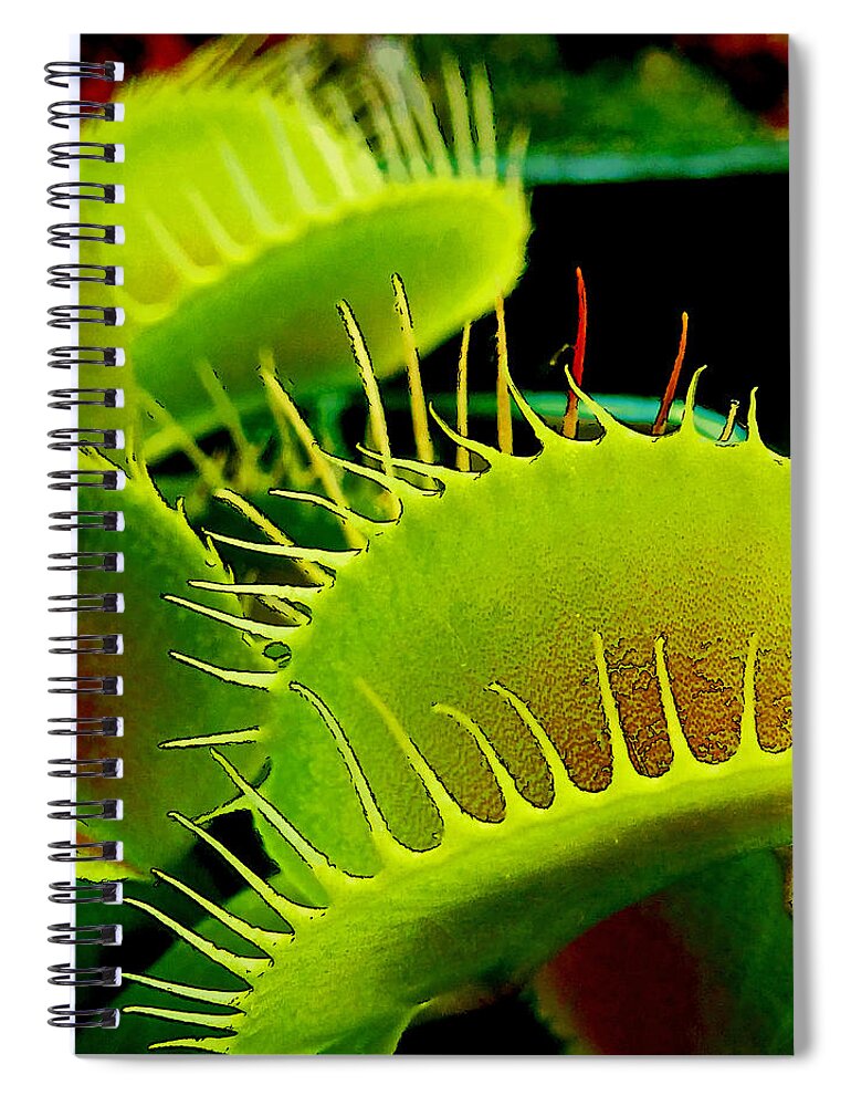 Venus; Flytrap; Green; Red; Close Up; Macro; Carniverous; Plant Spiral Notebook featuring the photograph No Room to Land by Steve Taylor