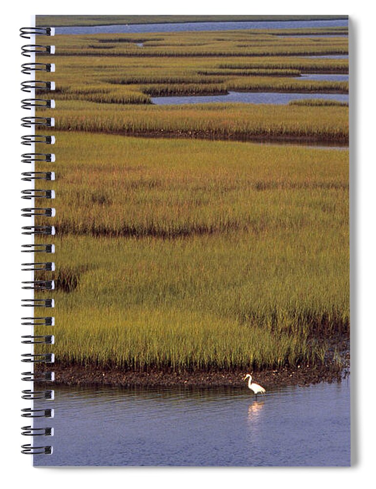 Animal Spiral Notebook featuring the photograph North Carolina Marsh by Frederica Georgia
