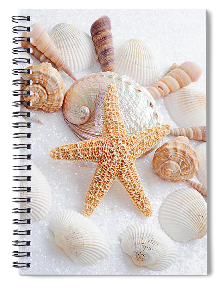  Seashells Spiral Notebook featuring the photograph North Carolina Sea Shells by Andee Design