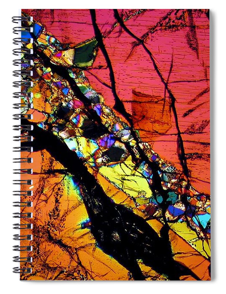 Meteorites Spiral Notebook featuring the photograph Alien Autopsy by Hodges Jeffery
