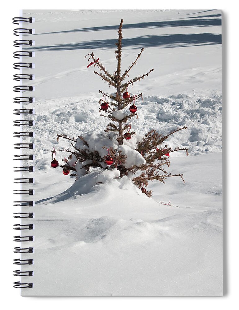 Christmas Spiral Notebook featuring the photograph Northern Arizona Christmas by Joshua House
