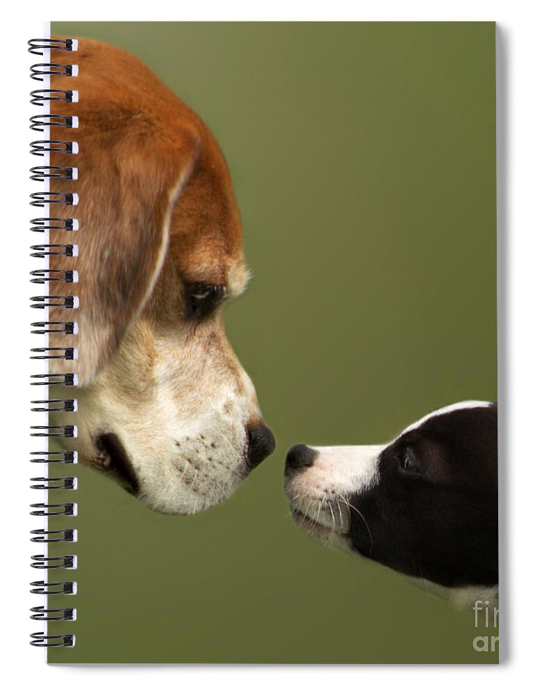 Dog Spiral Notebook featuring the photograph Nose To Nose Dogs 2 by Linsey Williams