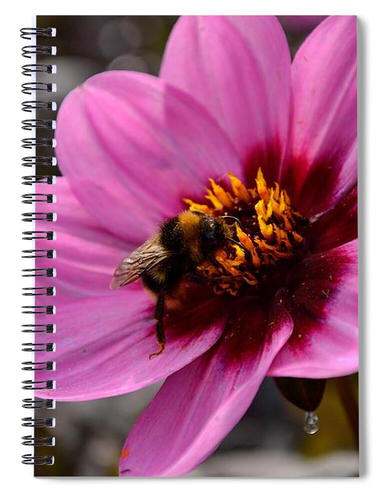 Plant Spiral Notebook featuring the photograph Nosy Bumble Bee by Scott Lyons