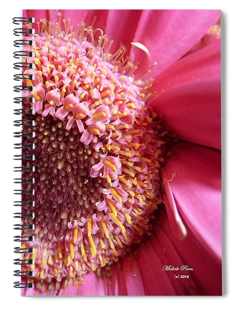 Flower Photograph Spiral Notebook featuring the photograph Aliveness in Rome by Michele Penn