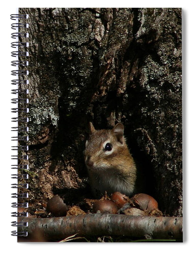 Chipmunk Spiral Notebook featuring the photograph Nut Therapy by Neal Eslinger
