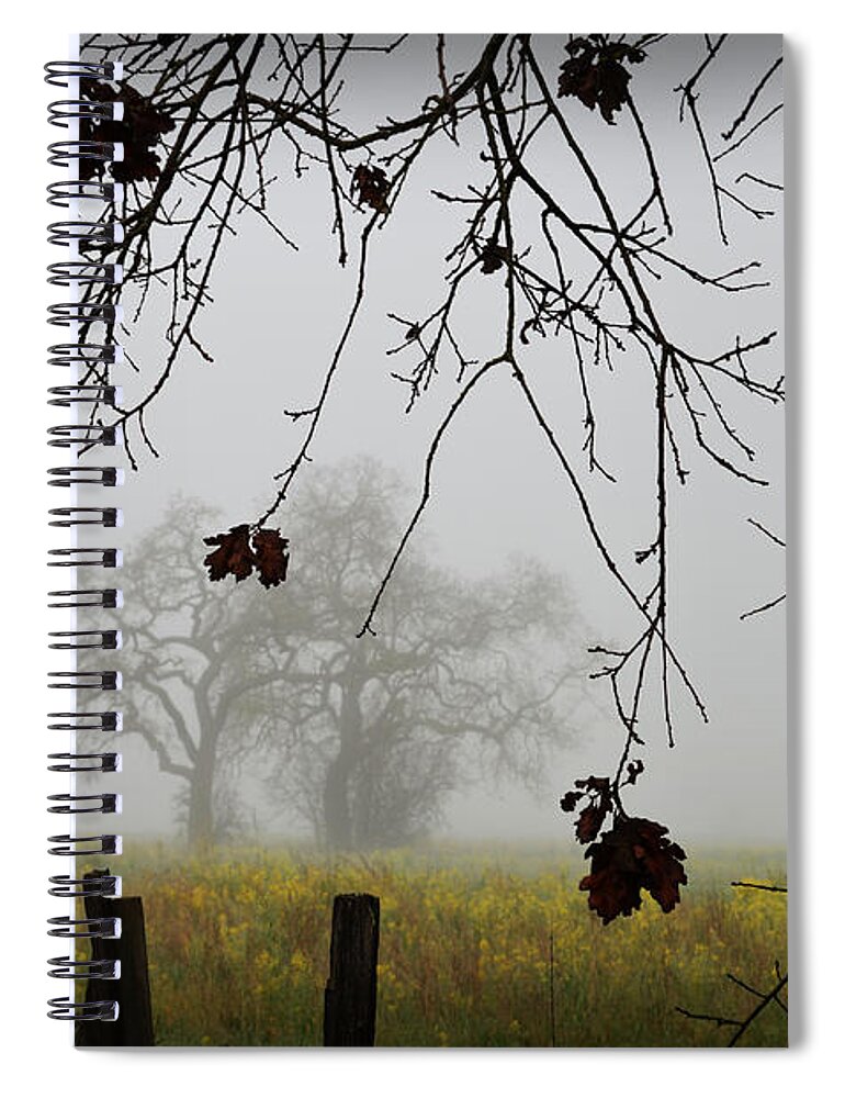 Oak Spiral Notebook featuring the photograph Oak Dreams by Spencer Hughes