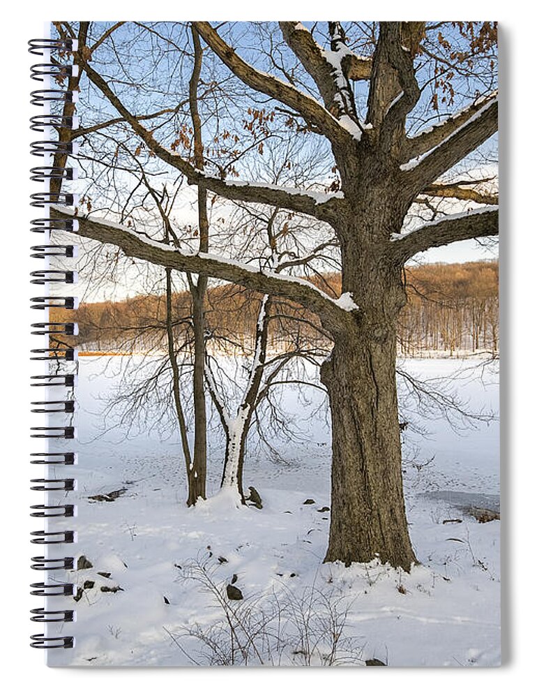 Landscape Spiral Notebook featuring the photograph Oak Tree in Snow I by Marianne Campolongo