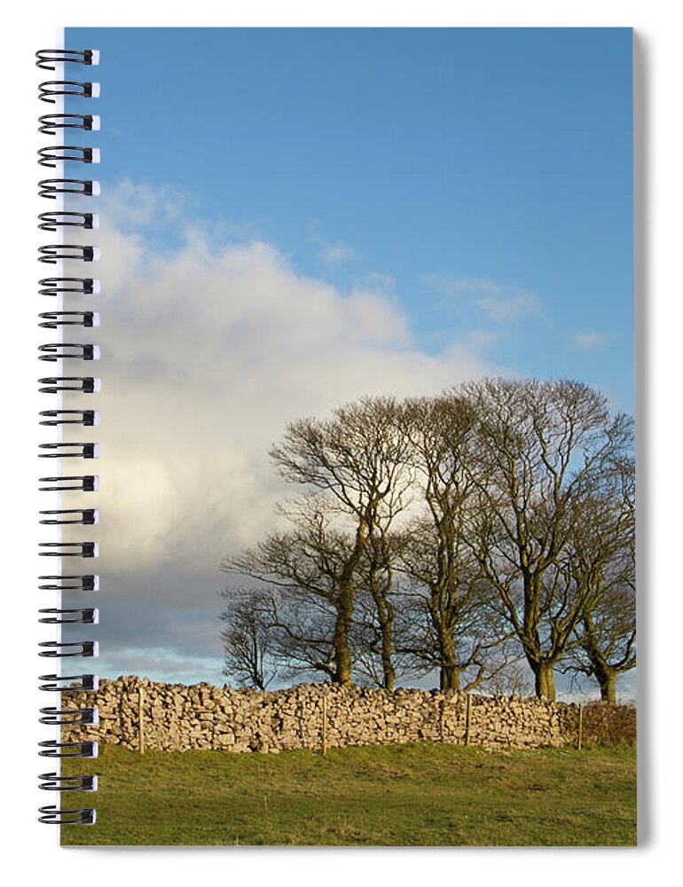 Scenics Spiral Notebook featuring the photograph Oak Trees In Winter by Dr T J Martin