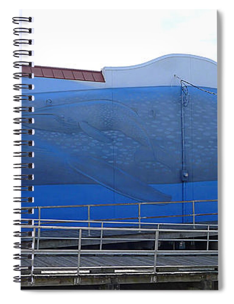 Ocean City Spiral Notebook featuring the photograph Ocean City - Blue Whale by Richard Reeve