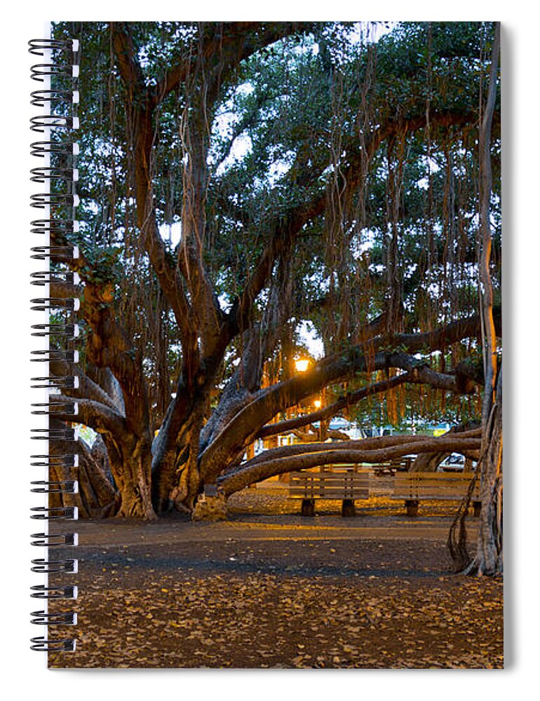 Octobanyan Spiral Notebook featuring the photograph OctoBanyan by Sean Davey