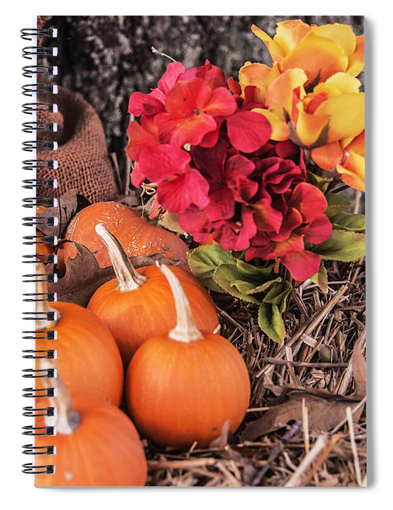 Landscape Spiral Notebook featuring the photograph October Vista by Elvis Vaughn