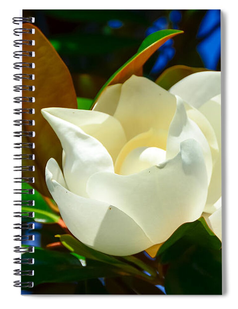 Magnolia Spiral Notebook featuring the photograph Oh Sweet Magnolia by Debra Martz