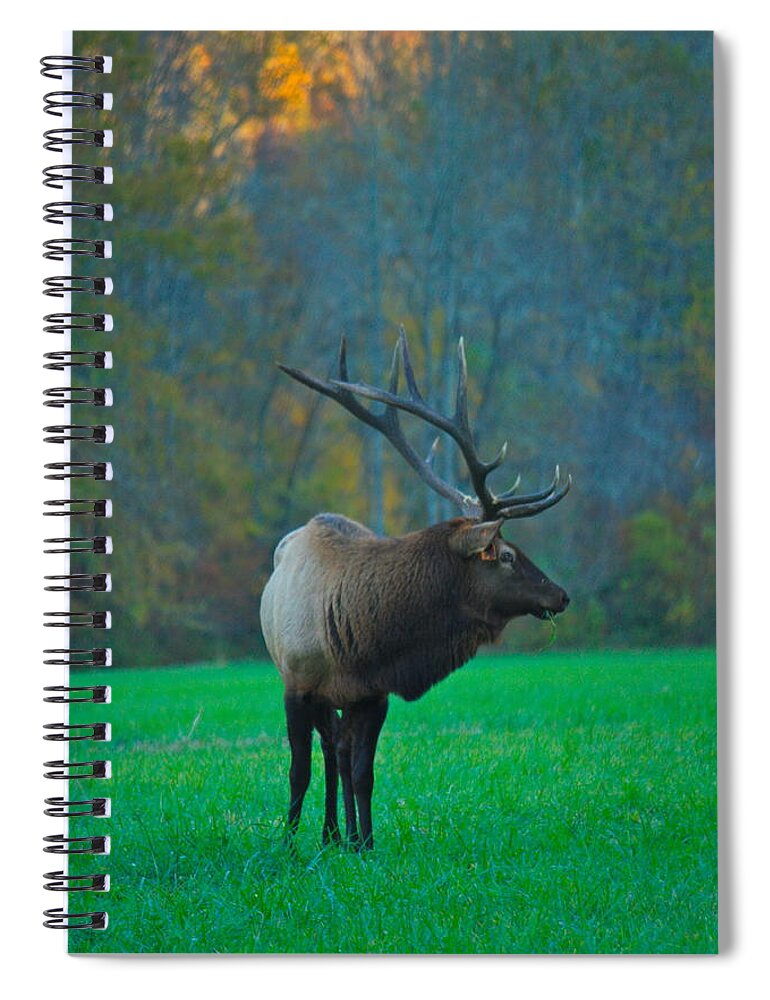 Elk Spiral Notebook featuring the photograph Oconoluftee Elk by Nunweiler Photography