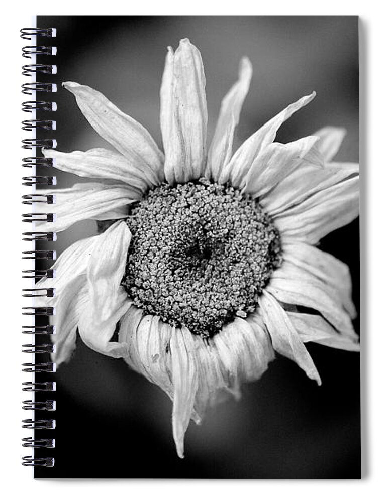 Flower Spiral Notebook featuring the photograph Old Beauty by Michael Arend