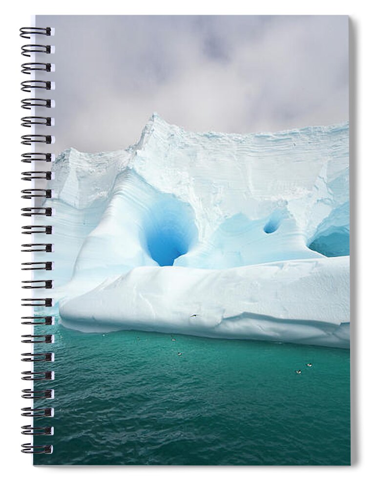 00346003 Spiral Notebook featuring the photograph Blue Iceberg Near South Georgia by Yva Momatiuk John Eastcott