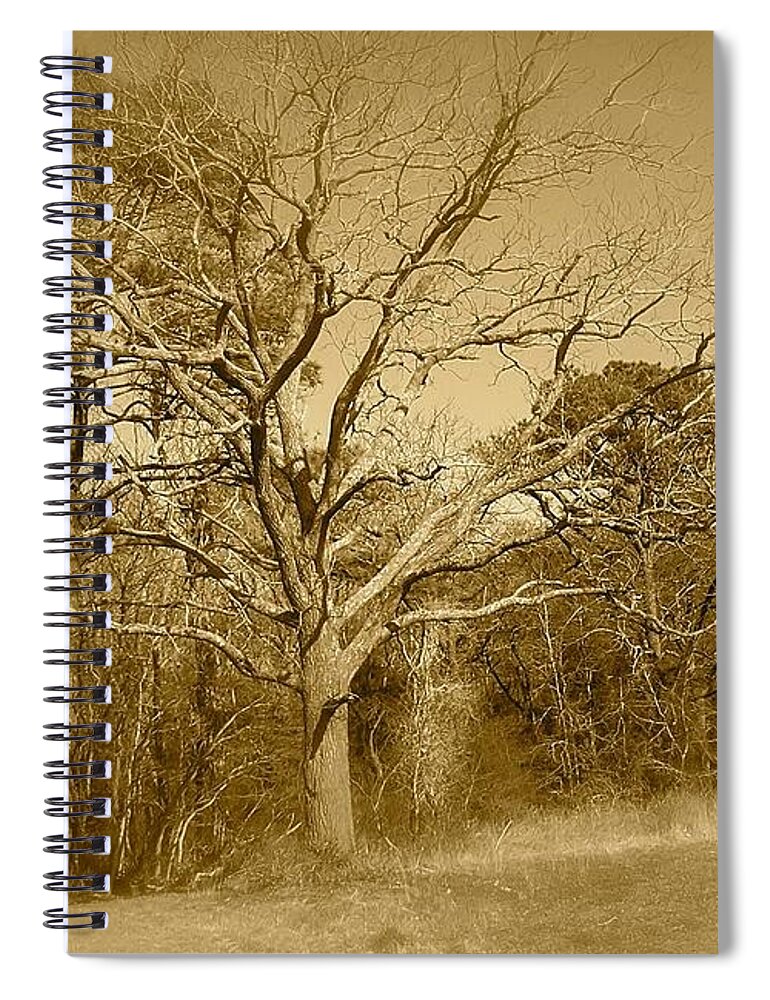 Old Spiral Notebook featuring the photograph Old Haunted Tree In Sepia by Chris W Photography AKA Christian Wilson