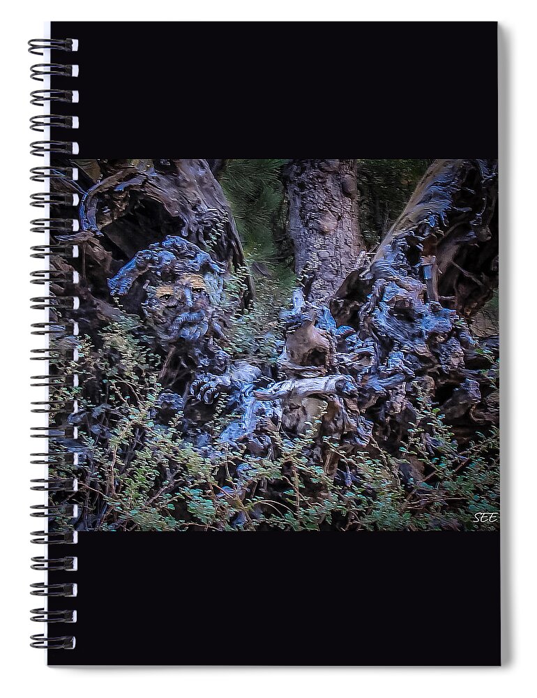 Tree Spiral Notebook featuring the photograph Old Man Oak by Susan Eileen Evans