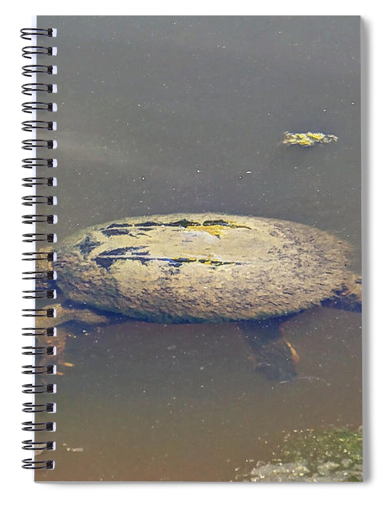 Turtle Spiral Notebook featuring the photograph Old Mossy Back Snapping Turtle by Carol Senske