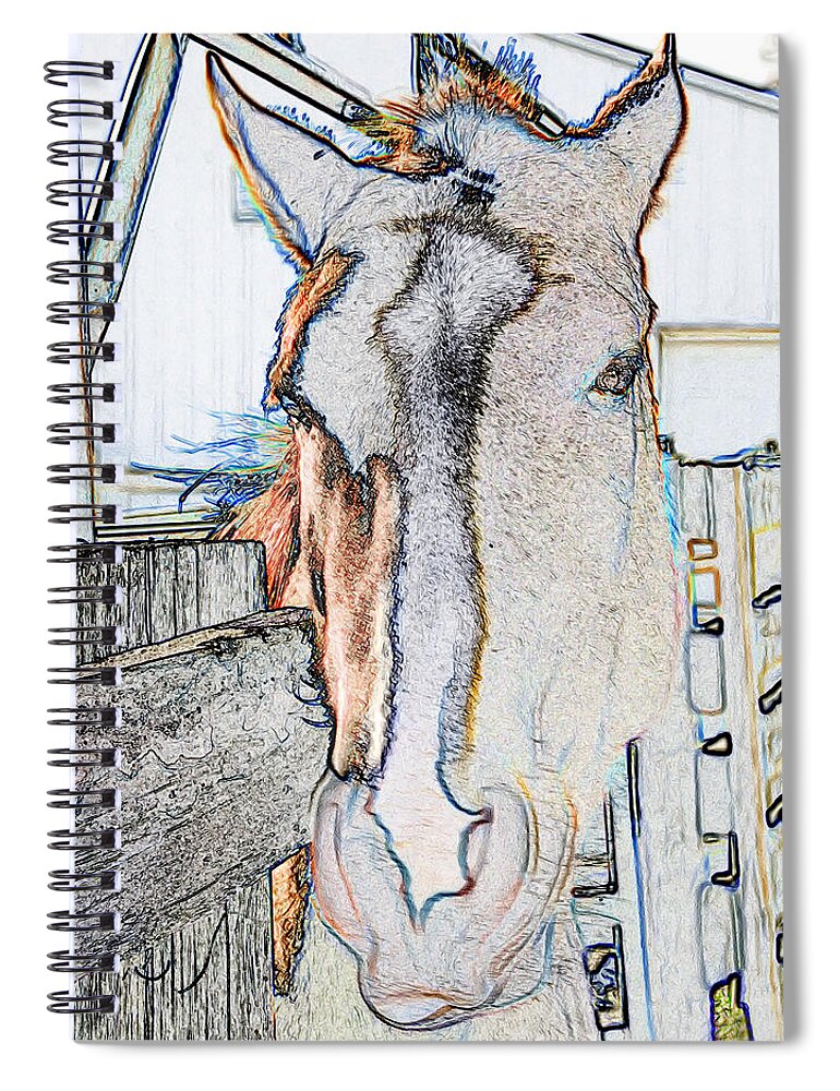 Photograph Spiral Notebook featuring the photograph Old Paint by Rhonda McDougall