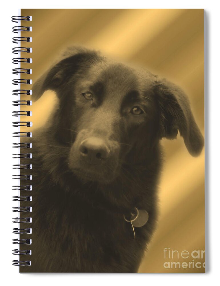 Dogs Spiral Notebook featuring the photograph Old Soul Eyes by Smilin Eyes Treasures