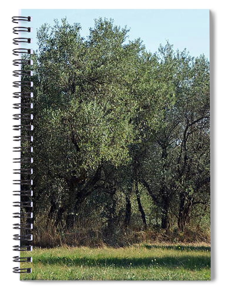 Olive Spiral Notebook featuring the photograph Olive Trees of Provence by Carla Parris