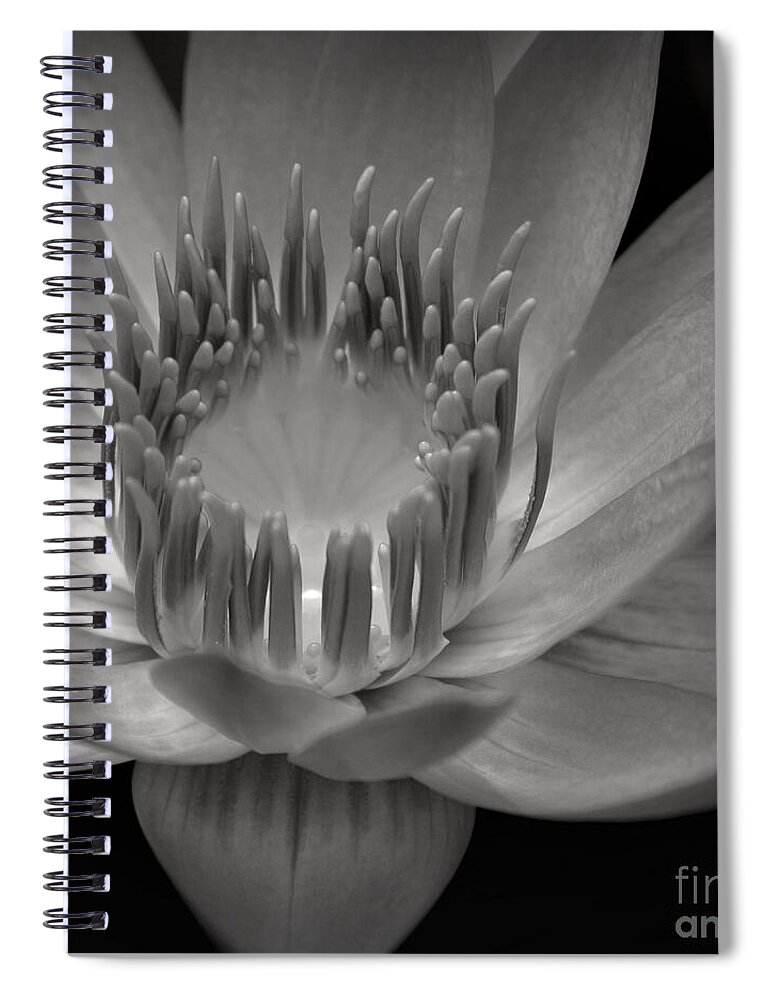 Aloha Spiral Notebook featuring the photograph Om Mani Padme Hum Hail to the Jewel in the Lotus by Sharon Mau