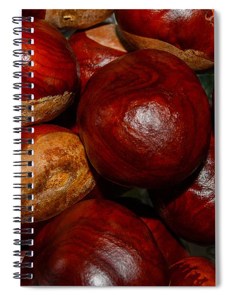 Chestnuts Spiral Notebook featuring the photograph On a Open Fire by Tikvah's Hope