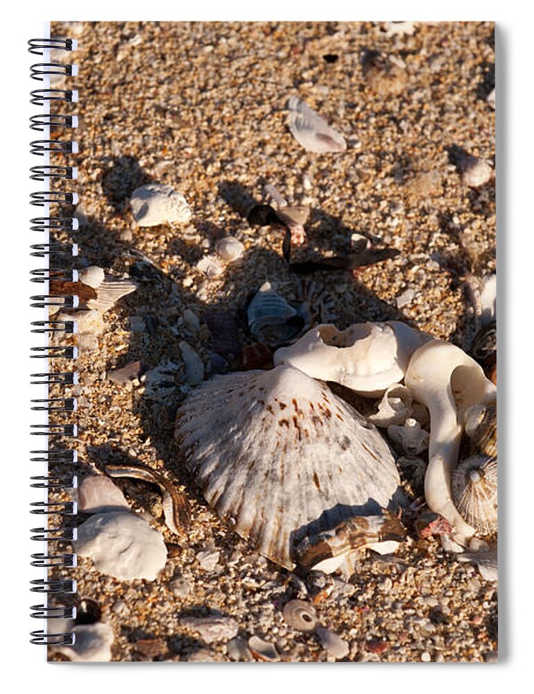 Australia Spiral Notebook featuring the photograph On The Beach 03 by Rick Piper Photography