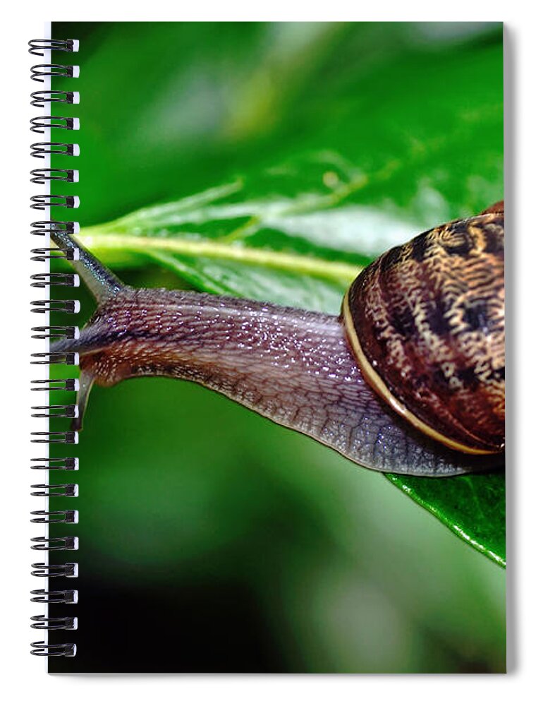 Photography Spiral Notebook featuring the photograph On the Edge by Kaye Menner