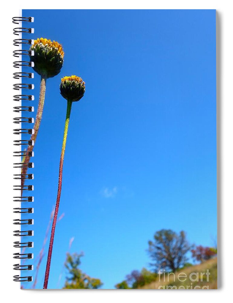 Flowing Spiral Notebook featuring the photograph On The Prairie #9 by Jacqueline Athmann