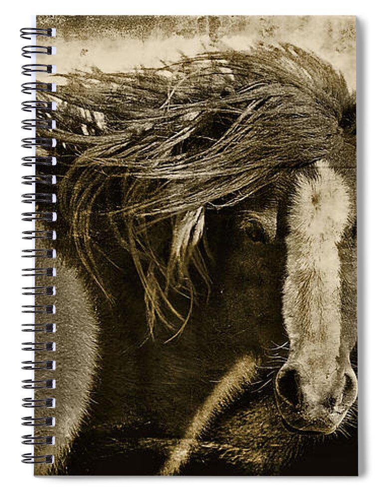 Pony Spiral Notebook featuring the photograph Winds of Time by Amanda Smith