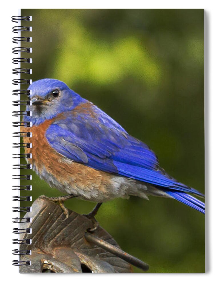  Spiral Notebook featuring the photograph On top of the world by Jean Noren