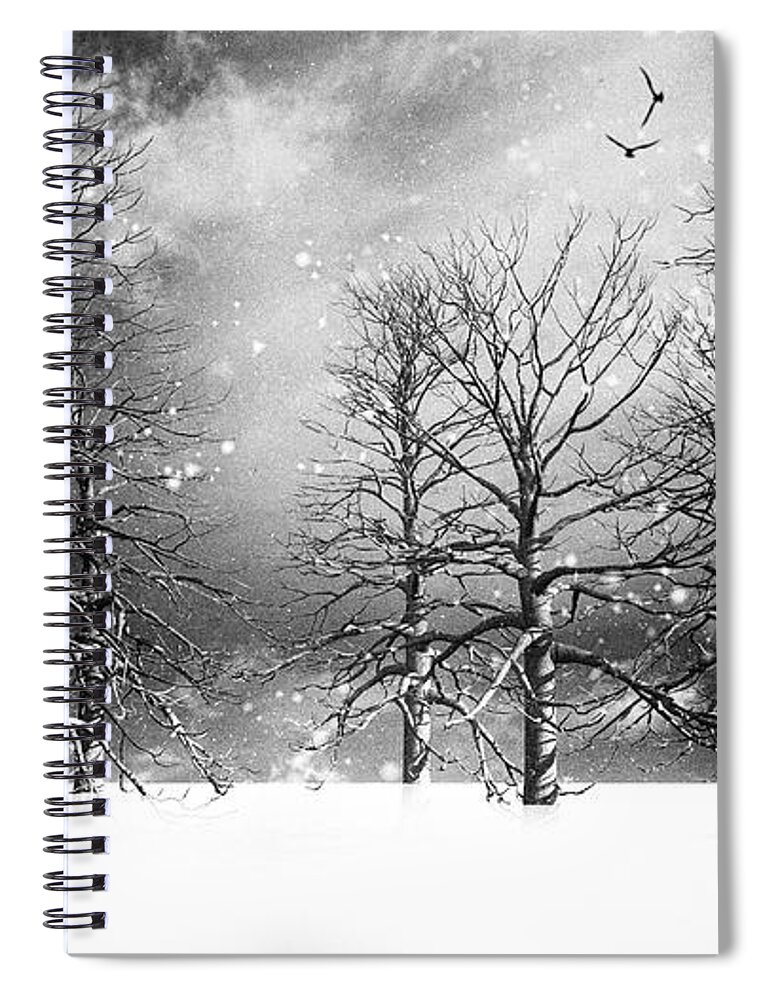 Winter Spiral Notebook featuring the photograph One Night In November by Bob Orsillo