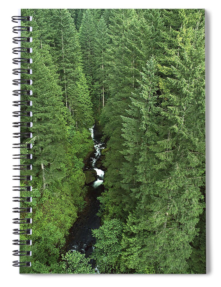 Feb0514 Spiral Notebook featuring the photograph Oneonta Creek In Columbia Gorge Oregon by Gerry Ellis