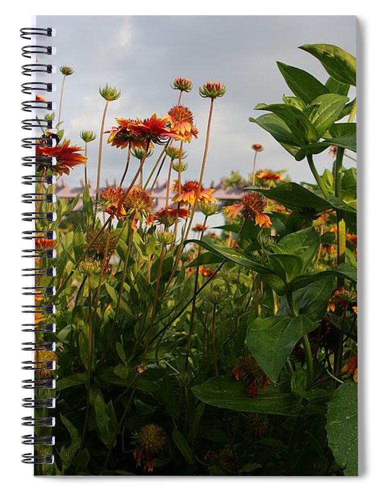 Orange Spiral Notebook featuring the photograph Orange and Yellow by Sharon Popek