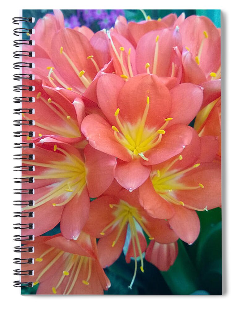Orange Spiral Notebook featuring the photograph Orange Bouquet by Claudia Goodell