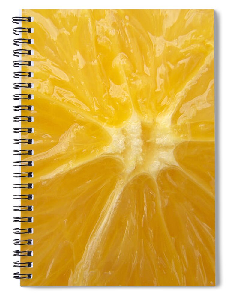Orange Spiral Notebook featuring the photograph Orange Closeup by Matthias Hauser
