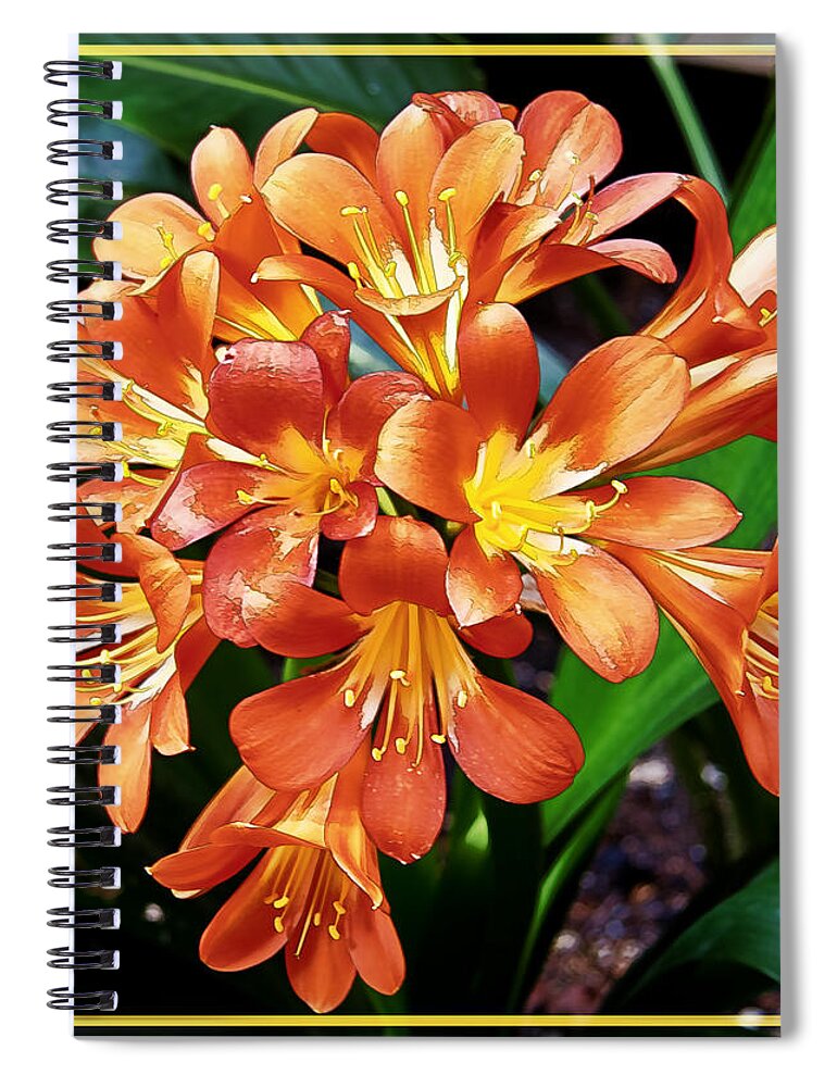 Orange Flowers Spiral Notebook featuring the photograph Orange Flowers by Chuck Staley