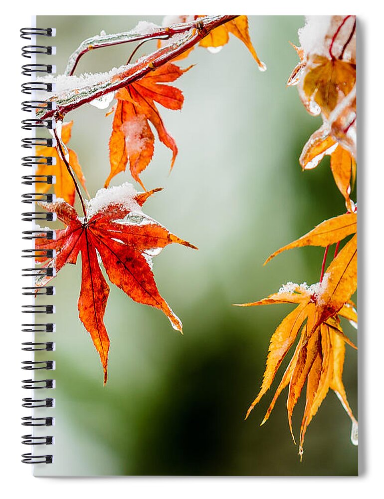 Ice Spiral Notebook featuring the photograph Orange Ice by James Barber